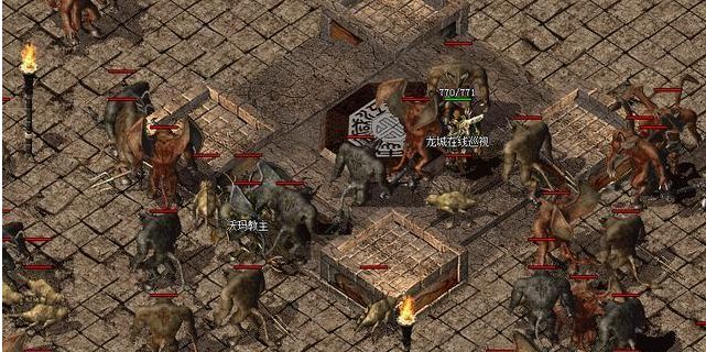 魔法盾比奇森林的三大热门收获新手玩家的原始积累都在这儿 魔法盾比奇森林的三大热门收获新手玩家的原始积累都在这儿